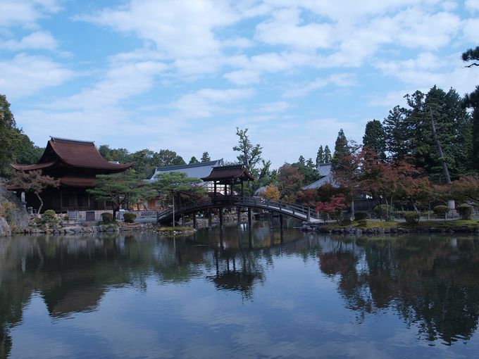 池泉 庭石 わかると楽しい 日本庭園の特徴 様式の基礎知識 トラベルjp 旅行ガイド