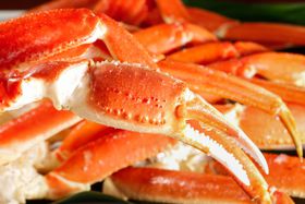 1̗sɂ߁IAoXcA[̑IѕƂ́H̋LTlC