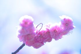 2̗sɂ߁IAoXcA[̑IѕƂ́H̋LTlC