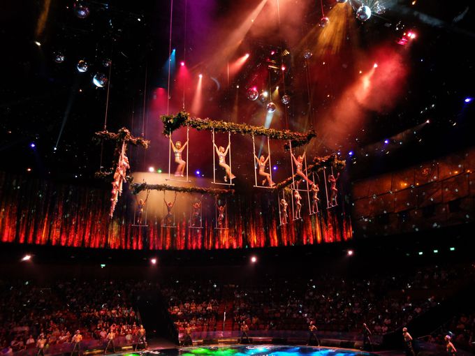 Yo23̃}JI؍݃cA[̑\ŹH