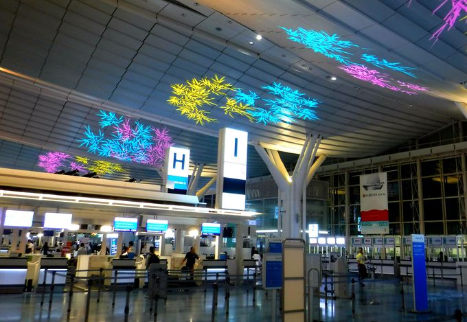 ו͂ǂȂ́H`ł̃VbsO̒ӓ_