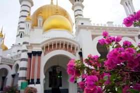 }[VAs̎EIXgIKi֗ObYȂǓŐLTlC