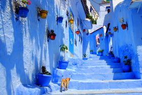 f̃bRIǂɔ܂HړIʓssƃzȇIѕЉ̋LTlC