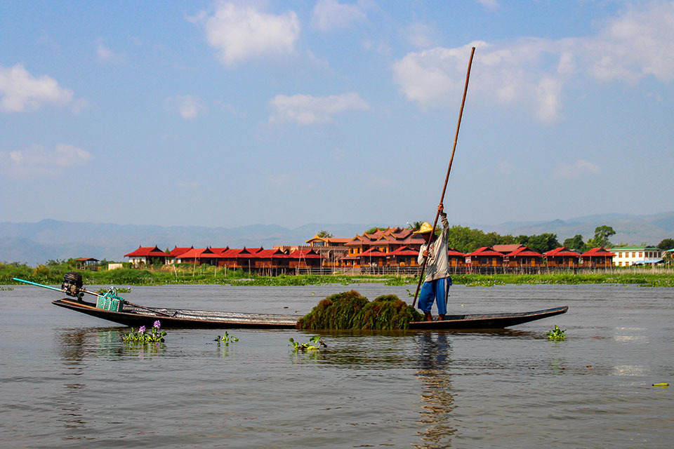 �~�����}�[�̃C���^�[�l�b�g����