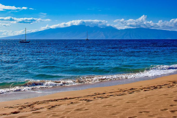 �J�A�i�p���E�r�[�`