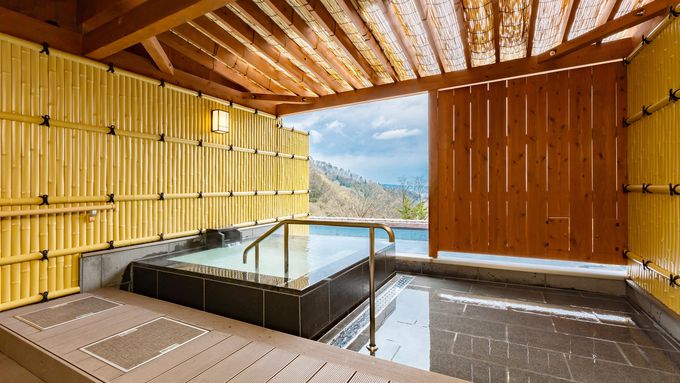 11�D���R�p�[�N�z�e�� �V����