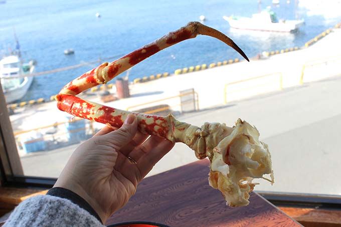 2ڃ`FǂȖȂ!?^JAVKj\