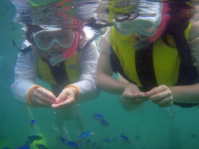 2ڌߑOFV[JbNWIKChcA[œӂT