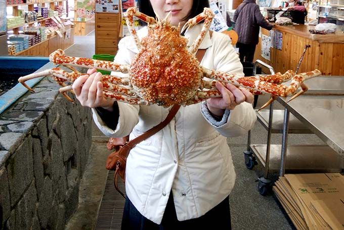 2ڃ`FǂȖȂ!?^JAVKj\