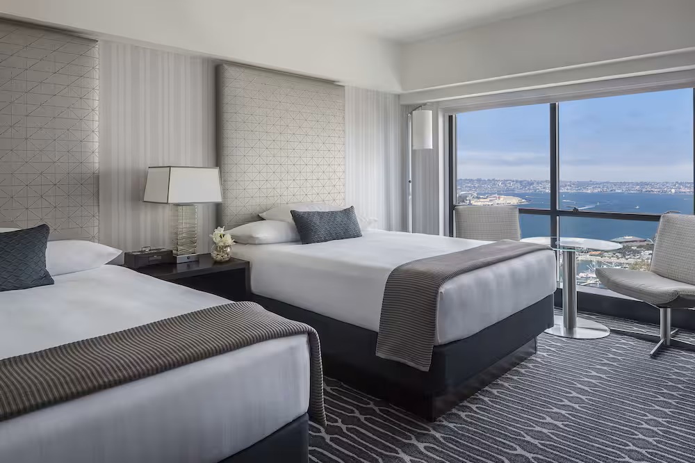 6��-�}���`�F�X�^�[ �O�����h �n�C�A�b�g �T���f�B�G�S