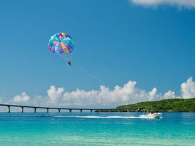 �ߘa���̗��s�ɁI�ċx�݂܂ł̊֓������s�Ȃ�R�R�������T���I�̋L���T���l�C��