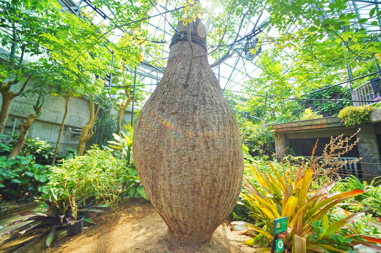 A[gƐXїy߂uUBErGi[v