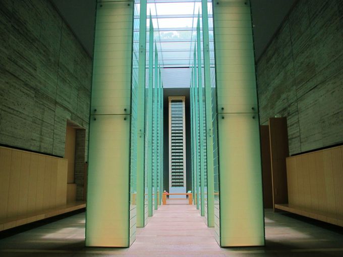 13�D�������茴�����v�ҒǓ����a�F�O��