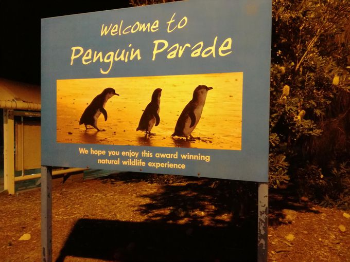 8�D�y���M���p���[�h/�t�B���b�v��