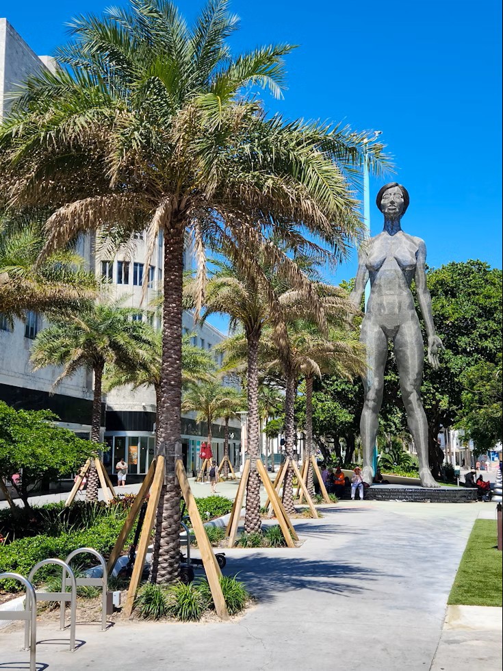 ��Ԋό��n�y8�z�����J�[�����[�h