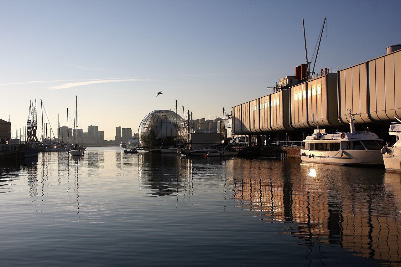 8�D�W�F�m���@������