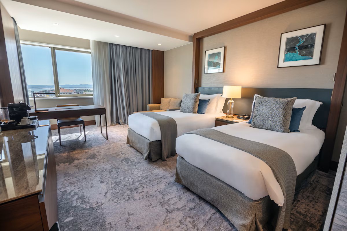 11��-�C���^�[�R���`�l���^�� ���X�{��