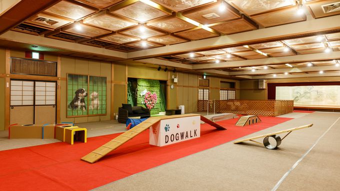 13�D�����Ɖ߂����{�i���ف@����