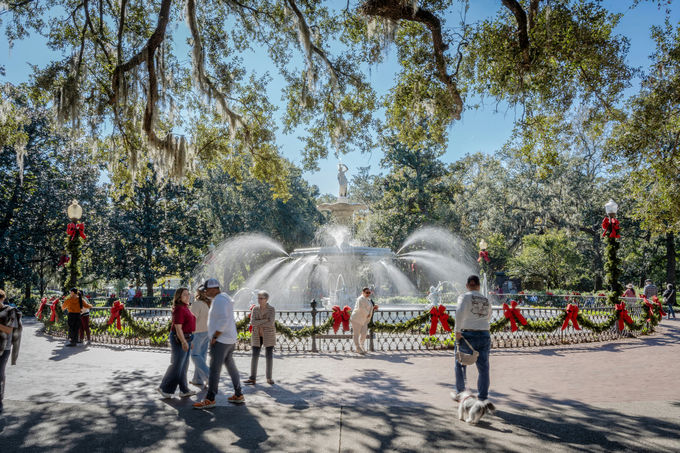 ����ό��n�y1�z�T�o���i�^�W���[�W�A�B