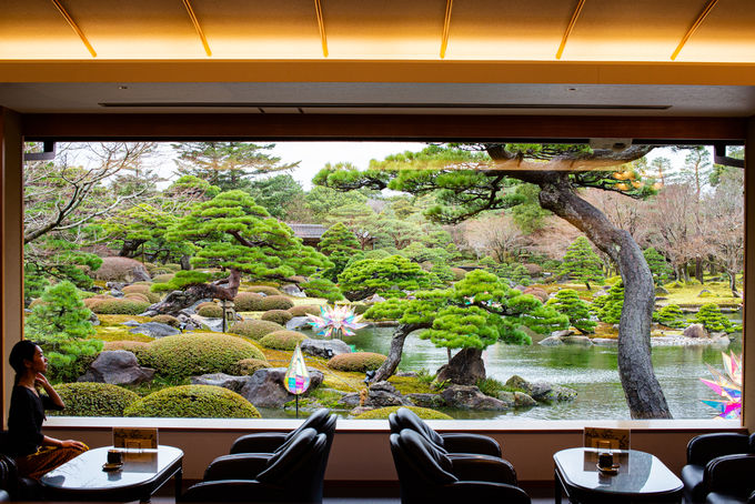 3ڌߌFCX^fQIO炫uRuv