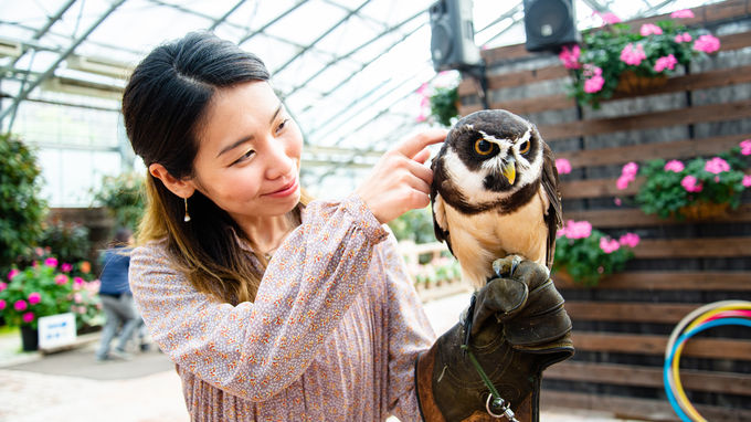 2ڌߌFCX^X|bgIԂƒ̊yu]tH[Qp[Nv