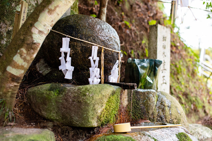 2ڌߌF̓uʑvŉϐɐZIH