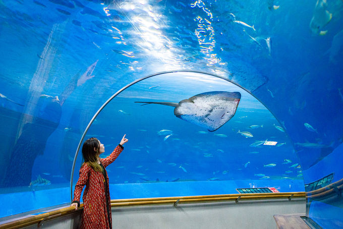 1ڌߌFuK̃ouO®vꂽ烉bL[Iu܂ˊCmكANAXṽVCJ