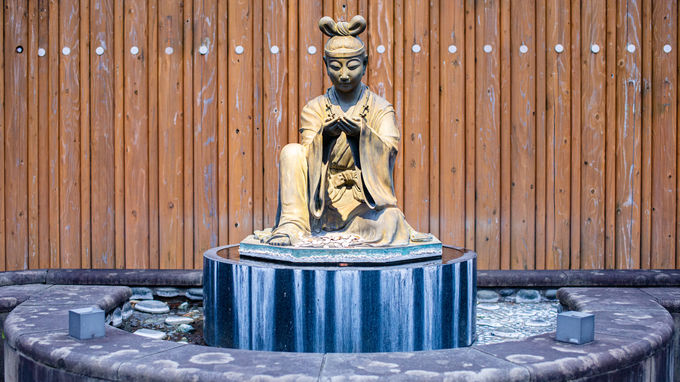 2ڌߌF̓uʑvŉϐɐZIH