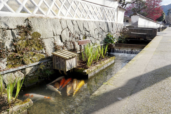 1ڌߌFmX^WbNȏsuaʂv