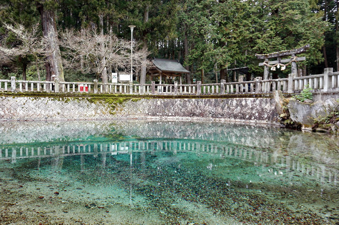 2ڌߌFS鐴炩uʕ{ٓVrv