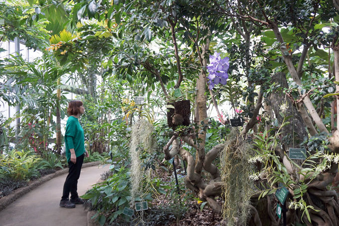 3ڌߌFA[gEAEɖ₳uƂv