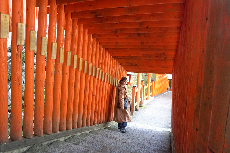 1ڌߌF]A̐_luꉒJ_Ёv֎Qq