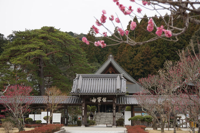 3ڌߑOFuڗv̗Dȍ܏dɍꍛ