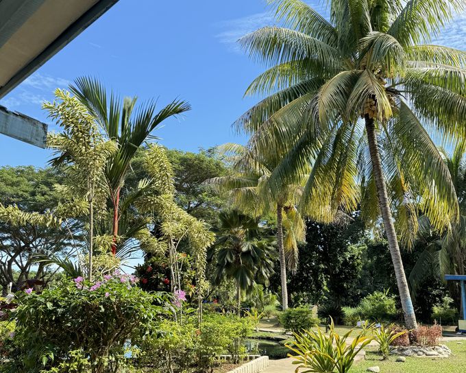 �T���x�g�E�}�b�h�E�v�[���i�i���f�B�j