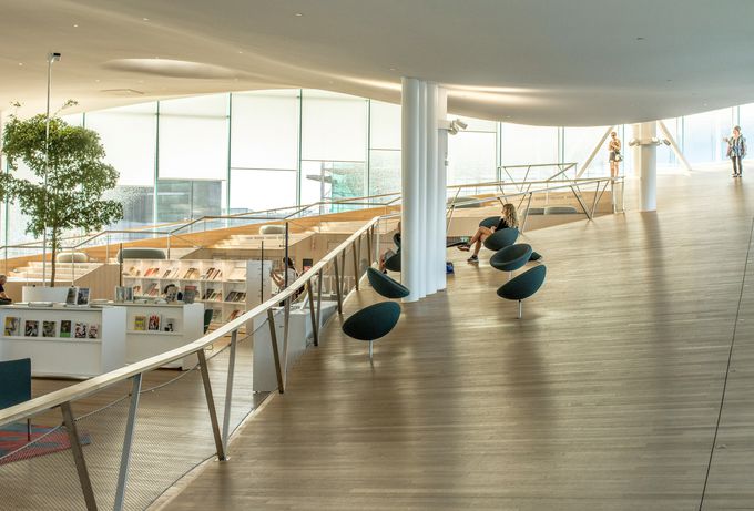 21�D�w���V���L�����}����