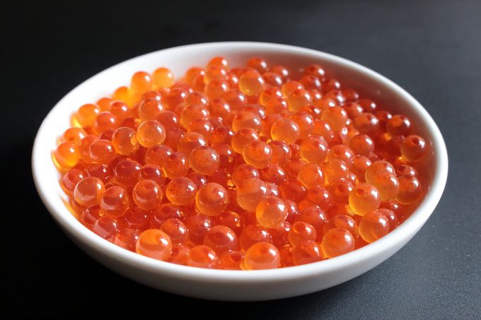 �e���r�h���}�ł�������݁I�E�j�₢�����������