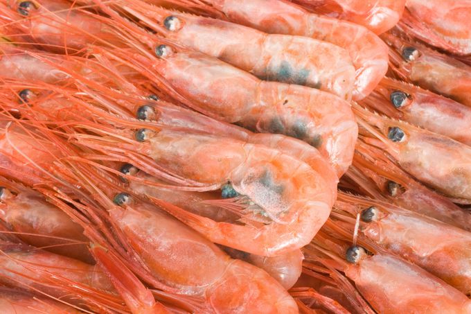 ����̓~�̖��o�I�J�j�ƊÃG�r��������