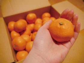 �a�̎R�Ől�C�̂��y�Y���I�ҏW�����I�̂����񂹃O����30�I�̋L���T���l�C��