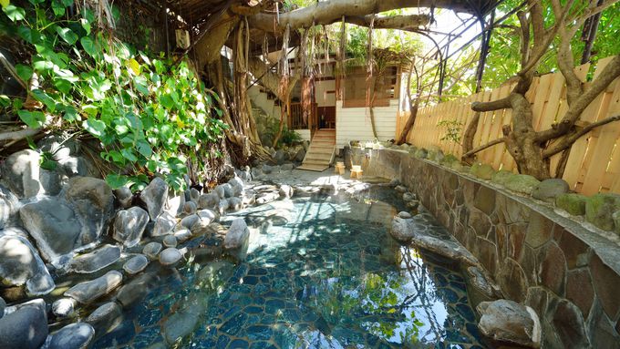 9�D���ƌ��� �����ĂȂ��̏h �݂͂��i���F�ʐ��فj