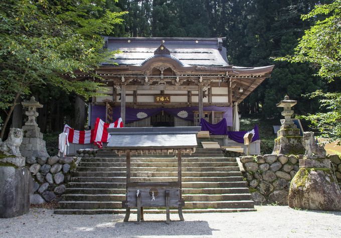 7�D���씪���{