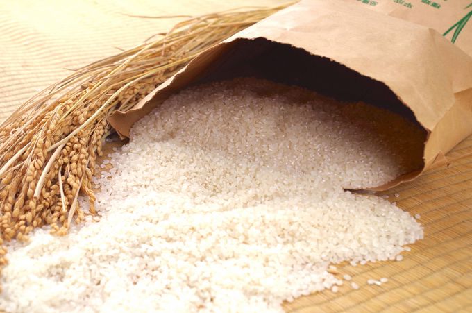 青森のお米はふっくらであまみがたっぷり