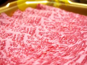 ŐlĈӂ邳Ɣ[ł̓RIҏWÎߕԗi20I̋LTlC