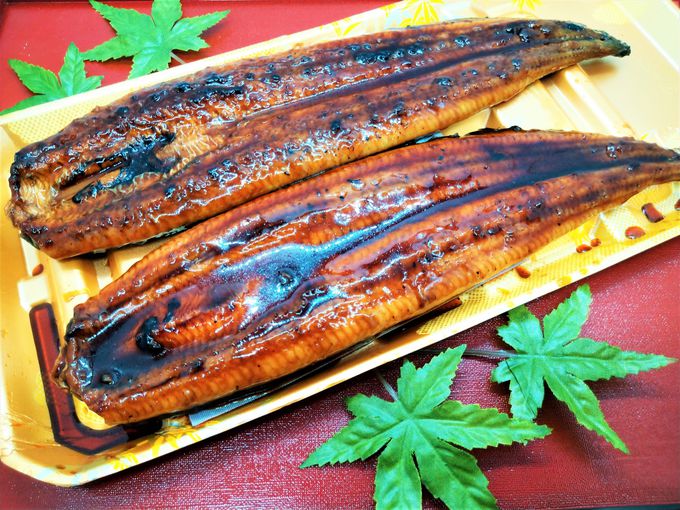 伊勢海老、うなぎ、鯛……高級食材をおうちで楽しもう！