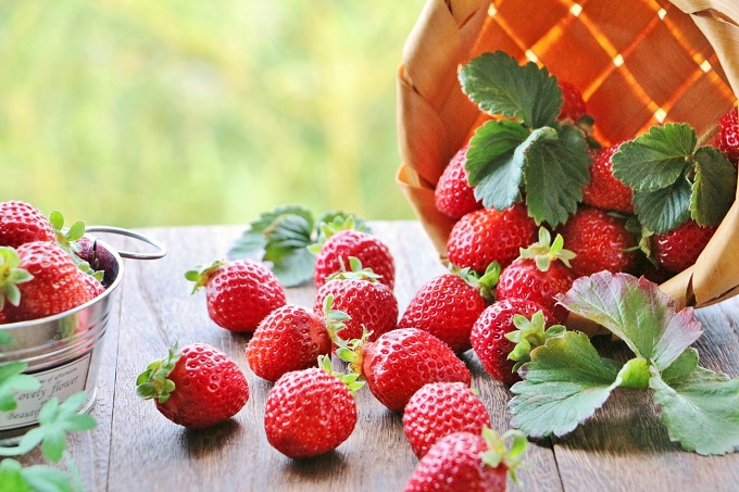 絶品 かたふね はなじかん いちご花 甘いひとときセット Fucoa Cl