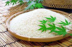 VŐlĈӂ邳Ɣ[ł̓RIҏWÎߕԗi30I̋LTlC