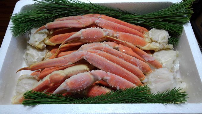 ����̊C�̍K��ԗ�i�ŃQ�b�g�I