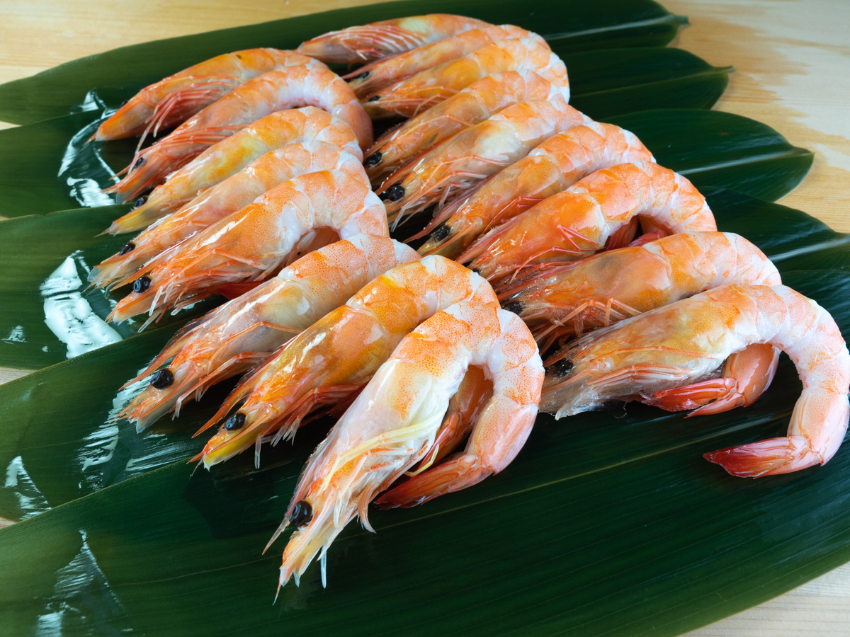 �v���b�v���̂��т������������Ⴂ�܂��傤