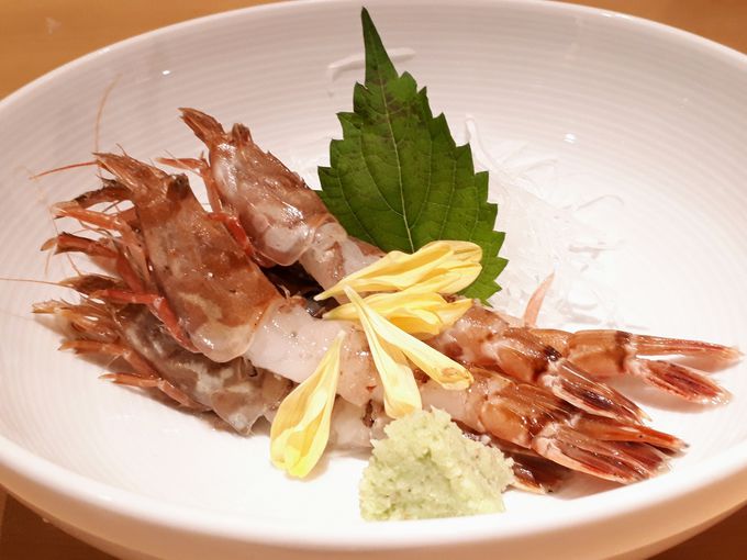 �v���b�v���̂��т������������Ⴂ�܂��傤