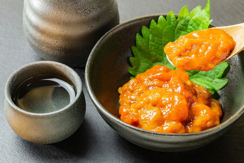 ����Ől�C�̂ӂ邳�Ɣ[�ł̓R���I�ҏW�����I�̂������ߕԗ�i20�I