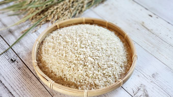 ����̑�n�̌b���������łǂ���